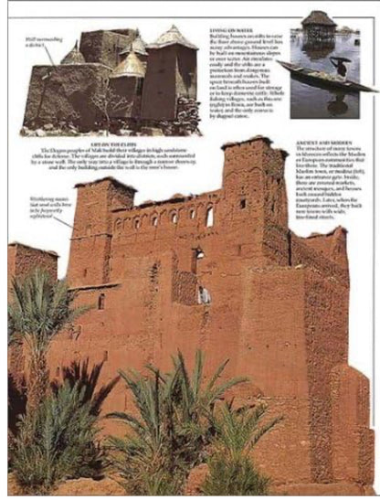 Africa — DK Eyewitness (by Yvonne Ayo)