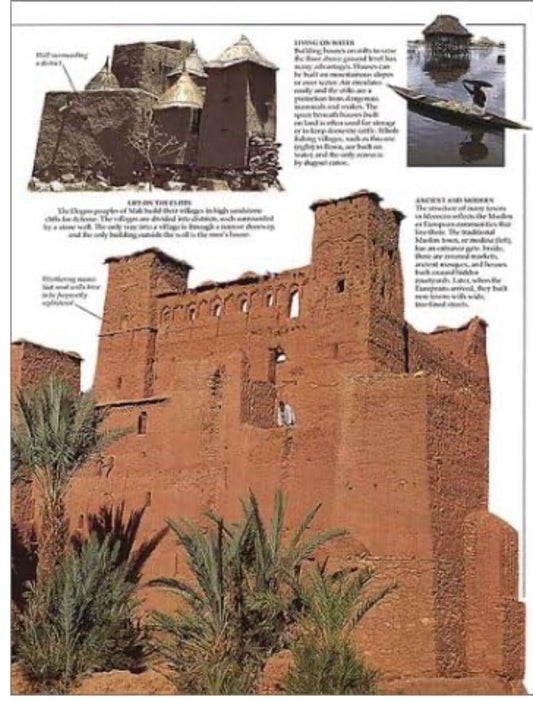 Africa — DK Eyewitness (by Yvonne Ayo)