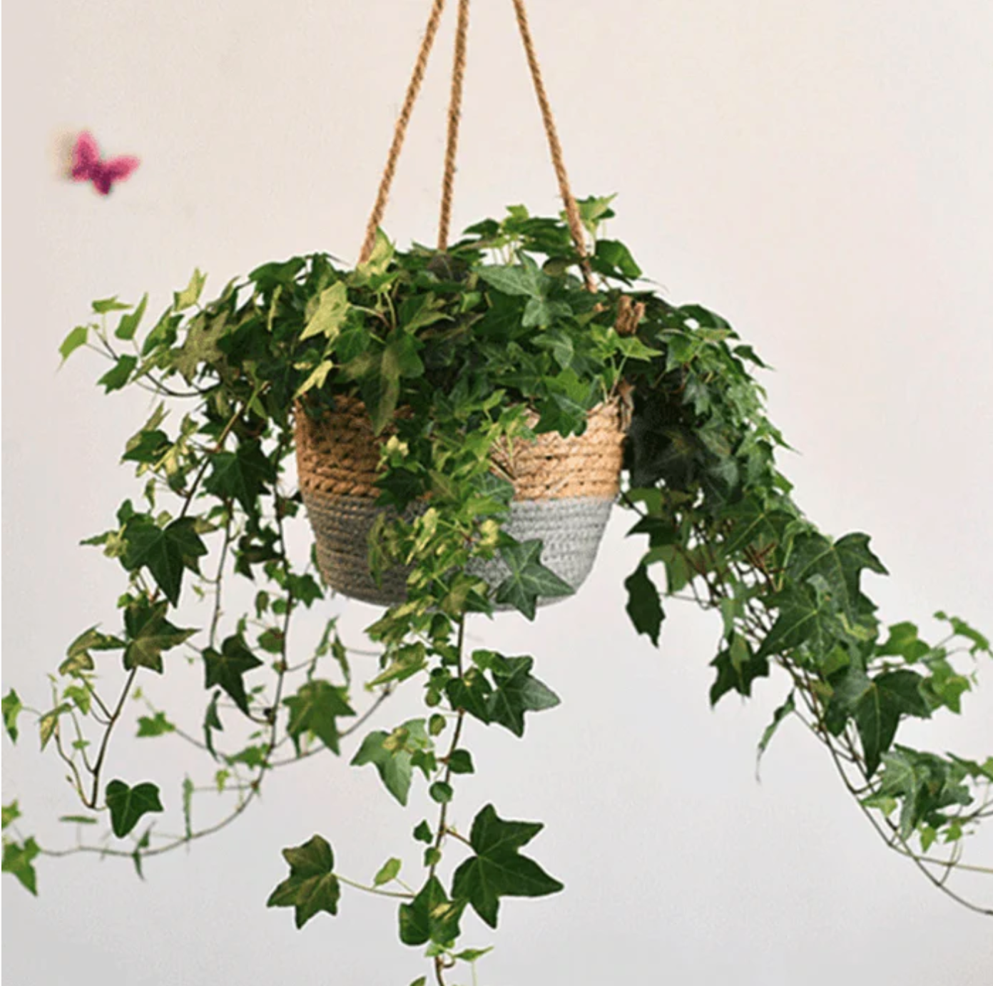 Ayla Hanging Basket