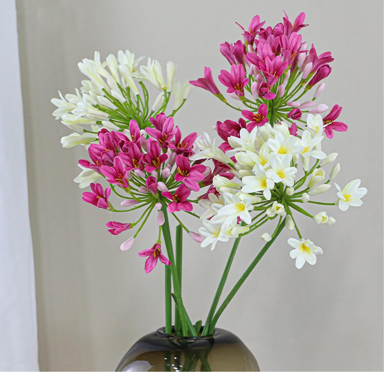 Nyoka Bloom – African Agapanthus Stems